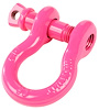 3/4 In. D-Ring Shackle - image 1