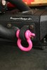 3/4 In. D-Ring Shackle - image 3