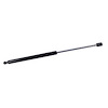HOOD LIFT STRUT - image 1
