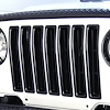 GRILLE INSERTS - image 1