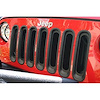 GRILLE INSERTS - image 1