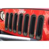 GRILLE INSERTS - image 2