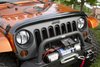 BUG DEFLECTOR - image 2