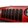 GRILLE INSERTS - image 2