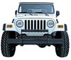 BRUSH GUARD - image 2