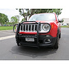 GRILLE GUARD BLK RENEGADE - image 1