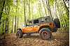 FLAT FLARE/LINER KIT - image 1