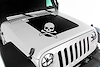 HOOD DECAL  SKULL  07-16 - image 1