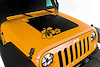 HOOD DECAL  HIBISCUS  07- - image 1
