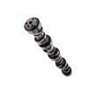 CAMSHAFT - LS HYD ROLLER - image 4