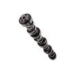 CAMSHAFT - LS HYD ROLLER - image 4