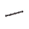 CAMSHAFT - LS HYD ROLLER - image 1