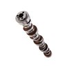 CAMSHAFT - LS HYD ROLLER - image 4