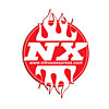 (NX) Flame Decal 4" long - image 1
