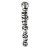 Chevy LS1 LS2 LS6 Hydraulic Roller Tappet Camshaft .578/.587 Lift - image 3