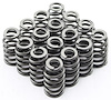 LS1 Beehive Valve Springs 1.270 in. O.D. - image 1