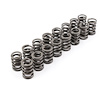 1.250 Od. Single Valve Springs - 125Lbs 1.750 - 1.080 Coil Bind - image 1