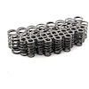 Dual Valve Springs, 1.450 in. O.D. - image 1