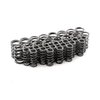 Dual Valve Springs, 1.450 in. O.D. - image 4