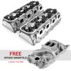 Speedmaster Big Block Chevy 396 Cast Aluminum Cylinder Heads & Free LowRise Intake Manifold Promo - image 2