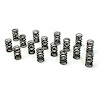 Double Valve Springs 135 psi 1.8 in (set) - image 1