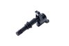 Flame Thrower Coil On Plug Ford 4.6/5.4L 3V Engines - image 3