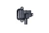 Flame-Thrower Coil GM LS1/LS 6 - image 3