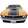Boss 302 Hood Stencil Kit (Center) for 1970 Mustang Boss 302 - image 1