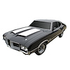 W29 Stripe Kit for 1971 Oldsmobile 442 W29 w/Air Induction Hood - image 1