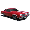 W29 Stripe Kit for 1975 Oldsmobile 442 W73 Hood - image 1