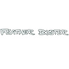 "Feather Duster" Fender Decal for 1976 Plymouth Duster - image 1
