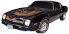 Black "Limited Edition" German Style Decal Kit for 1976 Pontiac Firebird Trans Am - image 1