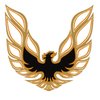 Trans Am Decal Kit for 1978 Pontiac Firebird Trans Am - image 2