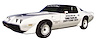 Nascar Pace Car Decal Kit for 1981 Pontiac Firebird Trans Am Turbo - image 1