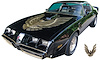 Special Edition Trans Am Decal Kit for 1981 Pontiac Firebird Trans Am - image 1