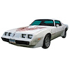 Complete Trans Am Decal Kit for 1981 Pontiac Firebird Trans Am - image 1