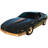 Trans Am Decal Kit for 1984 Pontiac Firebird Trans Am - image 1