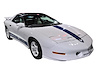25th Anniversary Trans Am Decal Kit for 1994 Pontiac Firebird Trans Am - image 1
