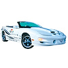 Daytona 500 Pace Car Door and Feathers Decal Kit for 1999 Firebird Trans Am - image 1