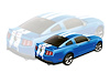 2010-12 MUSTANG GOLD - image 1