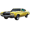 Decal and Stencil Kit for 1970-1972 Buick GSX - image 1