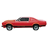Complete Stripe Kit for 1976-1977 Plymouth Road Runner - image 1