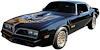 Special Edition Premolded Stripes Kit for 1976-1978 Firebird Trans Am - image 1