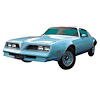 Premolded Lower Body Stripe Kit for 1977-1978 Firebird Esprit Skybird - image 1