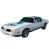 Macho T/A Decal kit for 1977-1979 Firebird Macho T/A - image 1