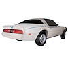 Firebird/Esprit Stripe Kit for 1979-1981 Pontiac Firebird/Esprit - image 1