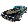 Black "Special Edition" Trans Am Stripe Only Kit for 1979-1981 Firebird Trans Am - image 1