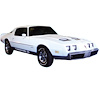 Formula Decal Kit for 1979-1981 Pontiac Firebird Formula - image 1