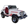 Renegade Decals and Stripes Kit for 1983-1984 Jeep Renegade - image 1