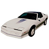 15th Anniversary Trans Am Decal Kit for 1984 Pontiac Firebird Trans Am - image 1